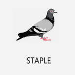 STAPLE 著名的鸽子标志潮牌【附官网】