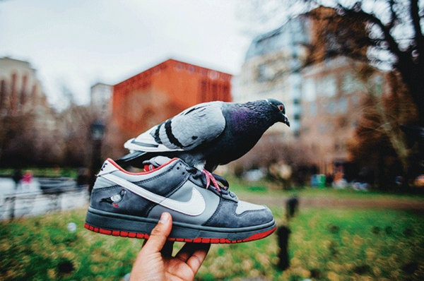 Staple x Nike Dunk SB Low  NYC Pigeon.jpg