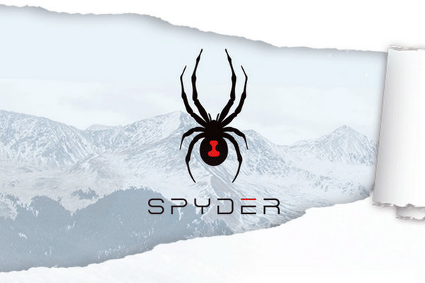 蜘蛛logo奢侈品牌.jpg